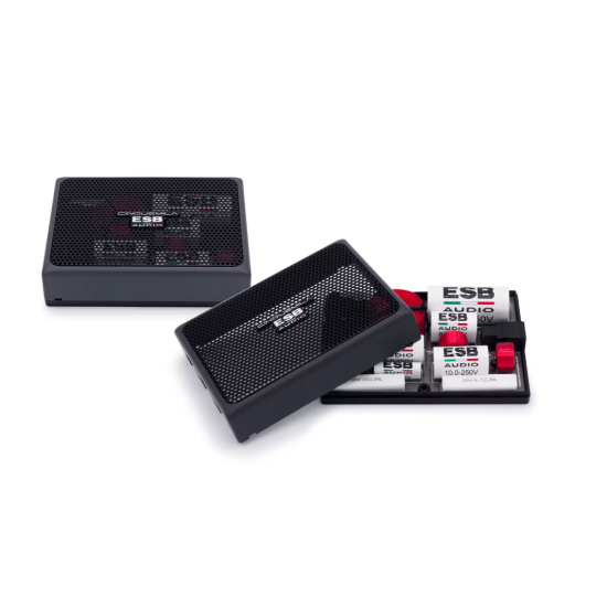 ESB AUDIO 5.6K3 CX 3-drożna zwrotnica pasywna (para)